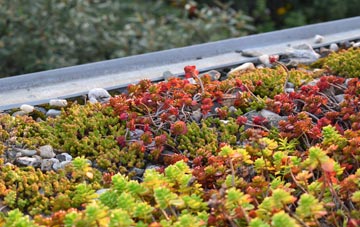 the cost of Cooks Green green roof installation