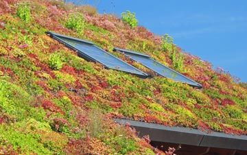 Cooks Green living roof systems